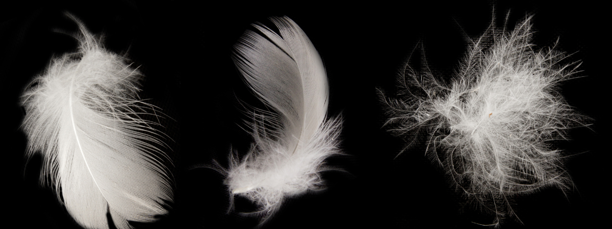 Goose fill power hot sale