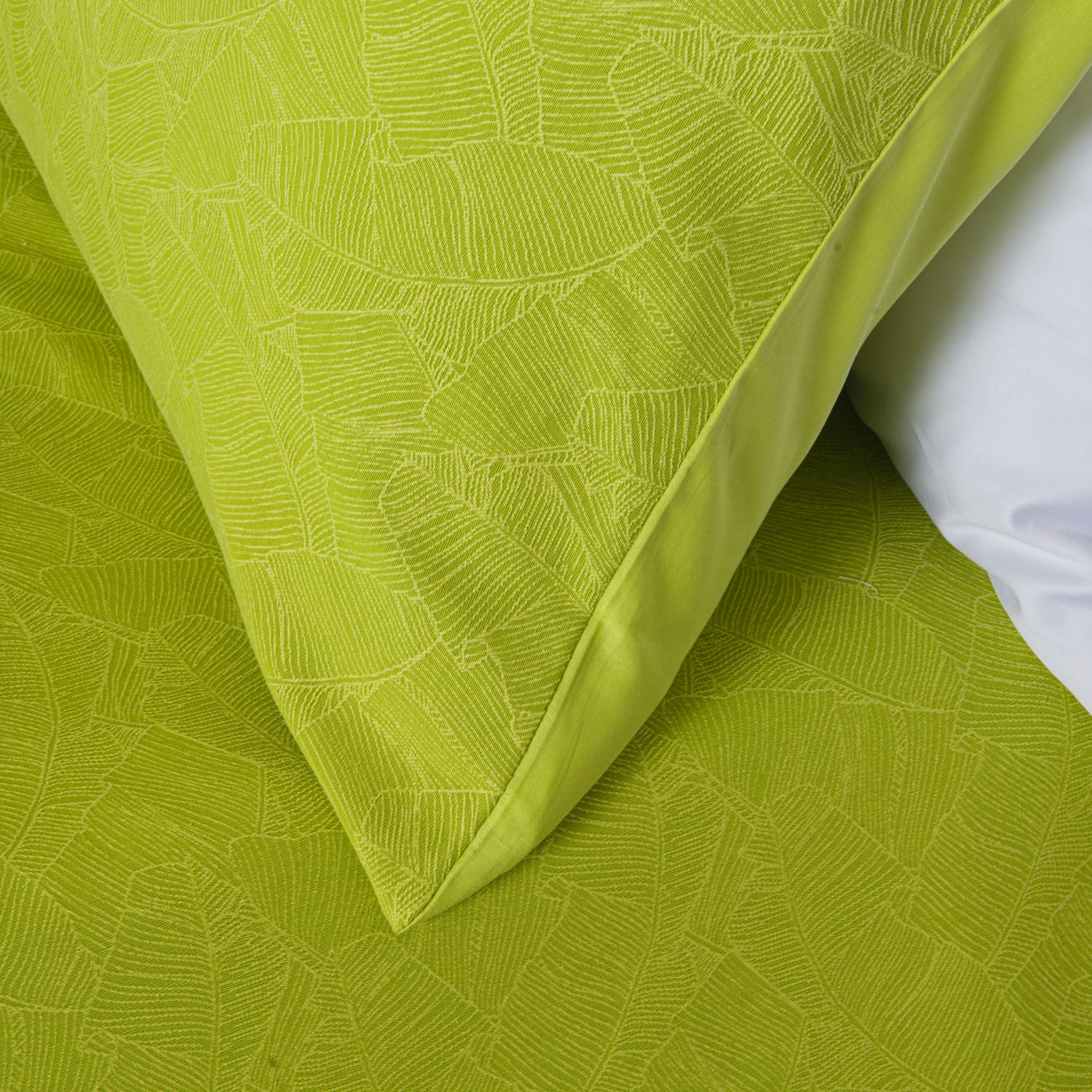 DOWNCOOL Set Copripiumino Matrimoniale Verde 162x223 Cm - Morbido In Microfibra, 2 Pezzi (1 Federa 50x66 Cm) - Leggero Per Tutte Le Stagioni - 4