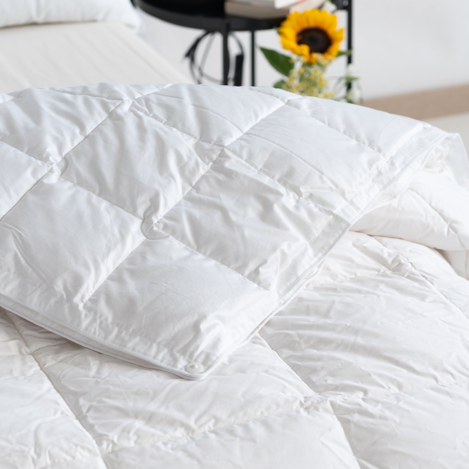 Piumino Stagioni Campiglio in Piumino d'oca Zenoni Colombi