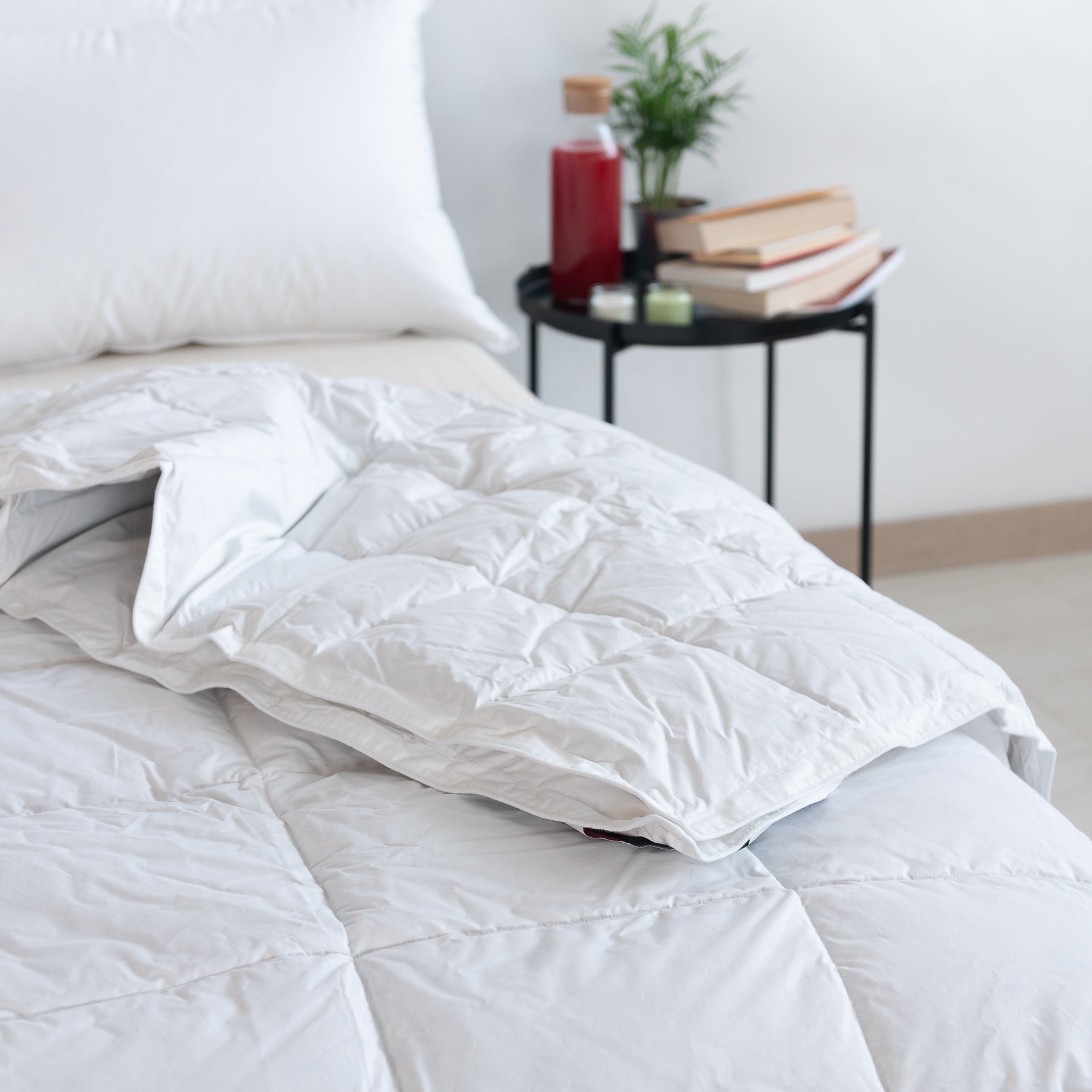 Piumino Stagioni Polar in 100% Piuma d'oca Zenoni Colombi